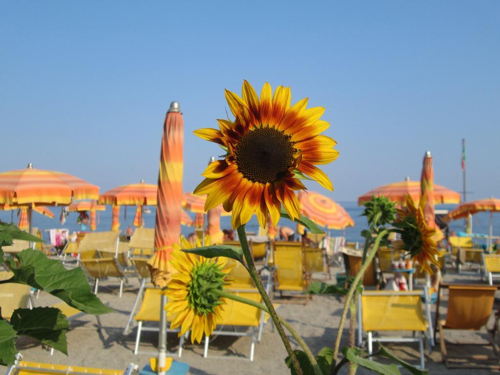Residence Mare Verde Pietra Ligure Εξωτερικό φωτογραφία